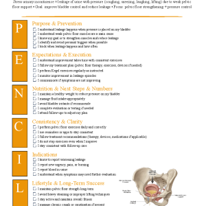 Stress Urinary Incontinence