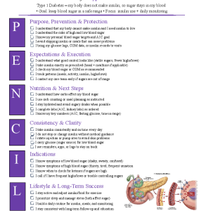 Type 1 Diabetes Mellitus